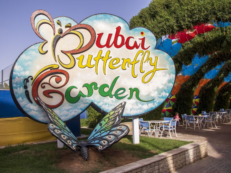 Ein toller Park ist der Dubai Butterfly Garden